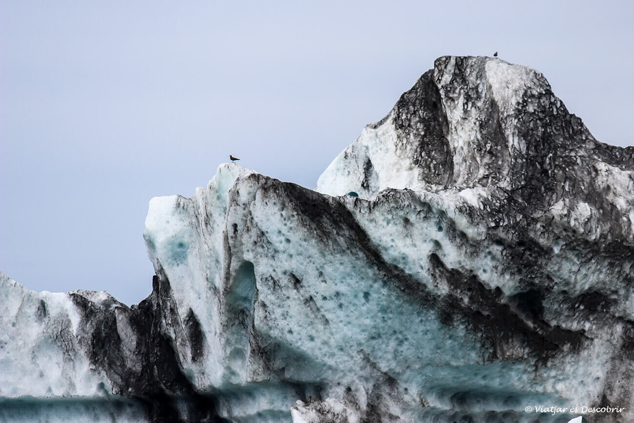 detalle de los grandes bloques de hielo de la laguna jokulsarlon