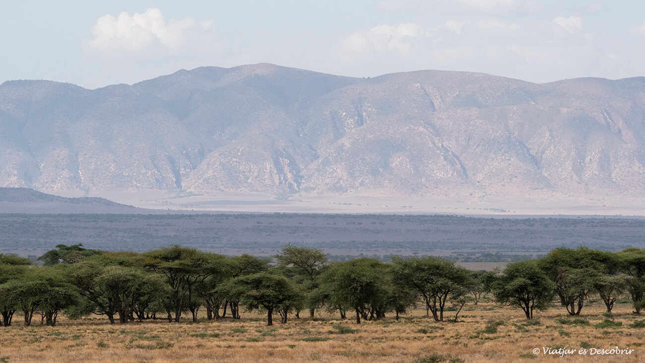 paisaje del área de conservación del ngorongoro, tener que atravesar toda esta región hace que el precio de un safari en Tanzania sea alto