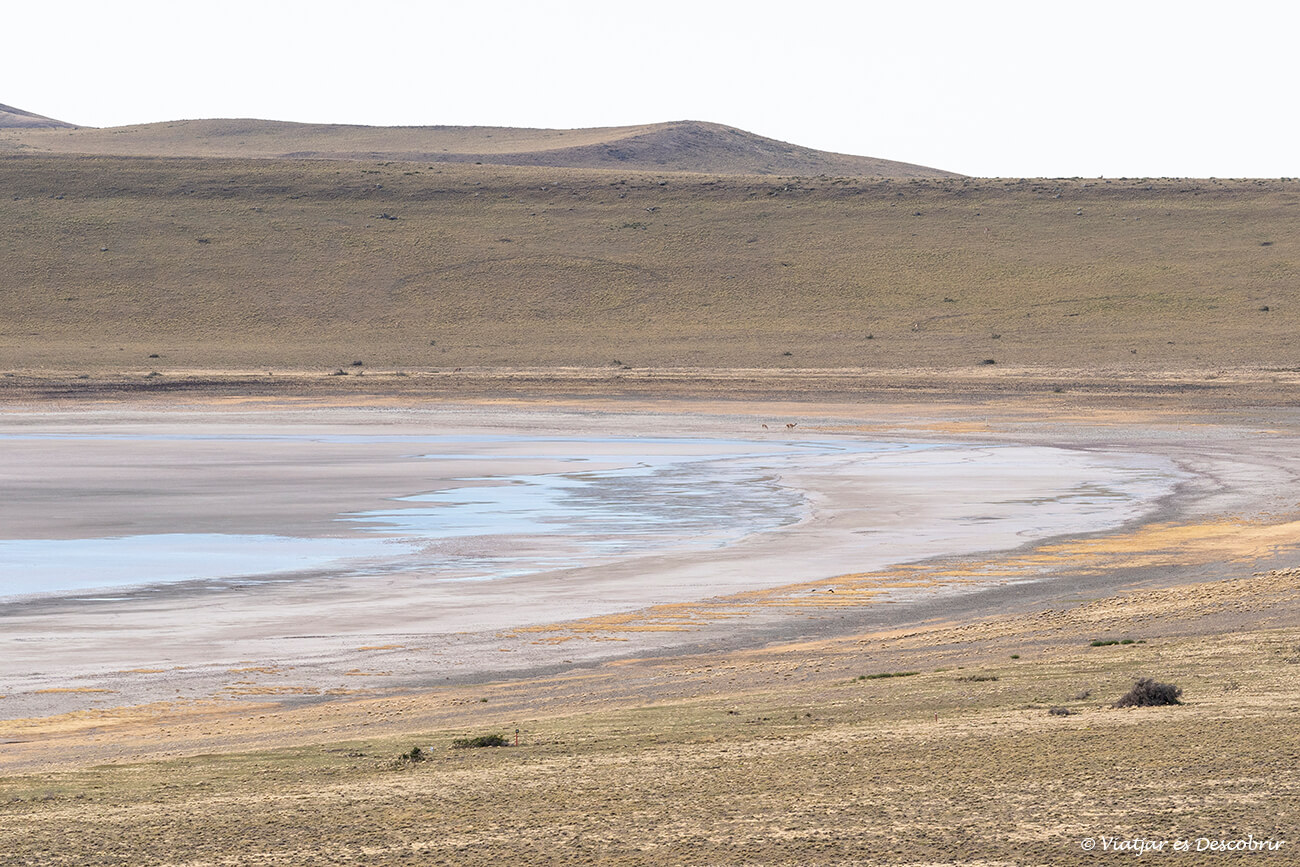 paisaje de la laguna ana