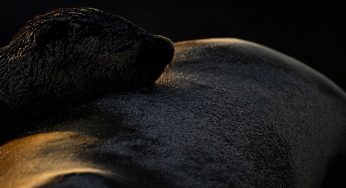 Qué hacer en la isla de San Cristóbal (Galápagos)