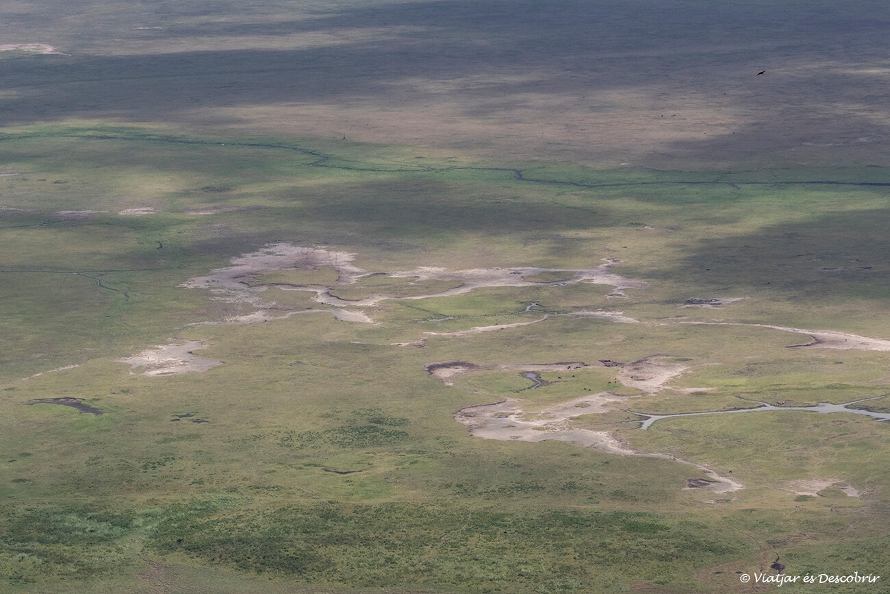 al calcular cuánto cuesta un safari en Tanzania hay que tener en cuenta el precio de entrada al cráter del Ngorongoro ya que es una tarifa alta pero que es muy recomendable pagar por poder hacer un safari excepcional allí