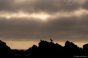 Lee más sobre el artículo Semana 69 (Quinuituq): La despedida de una ruta inolvidable