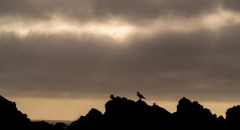Semana 69 (Quinuituq): La despedida de una ruta inolvidable