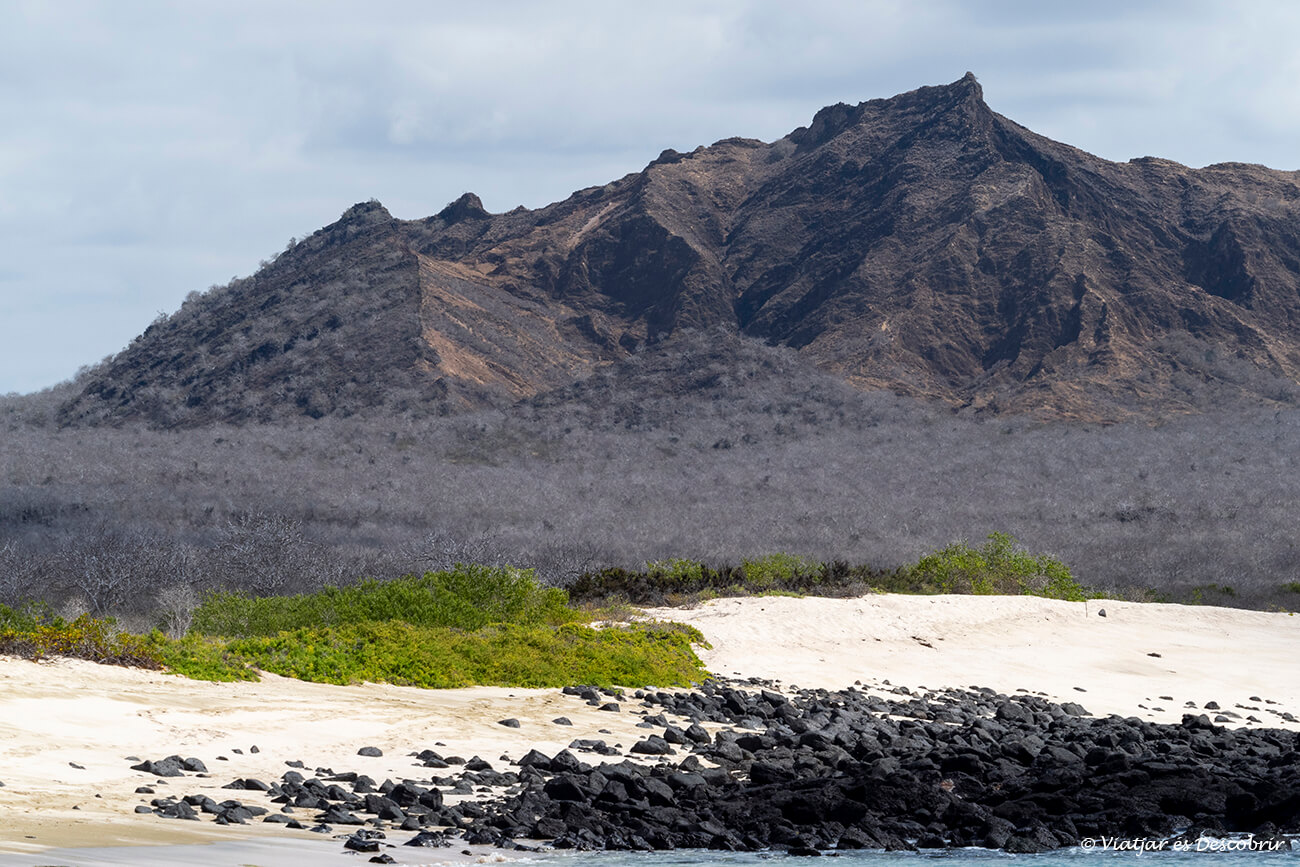 paisaje durante el tour 360 en la zona de bahía sardina