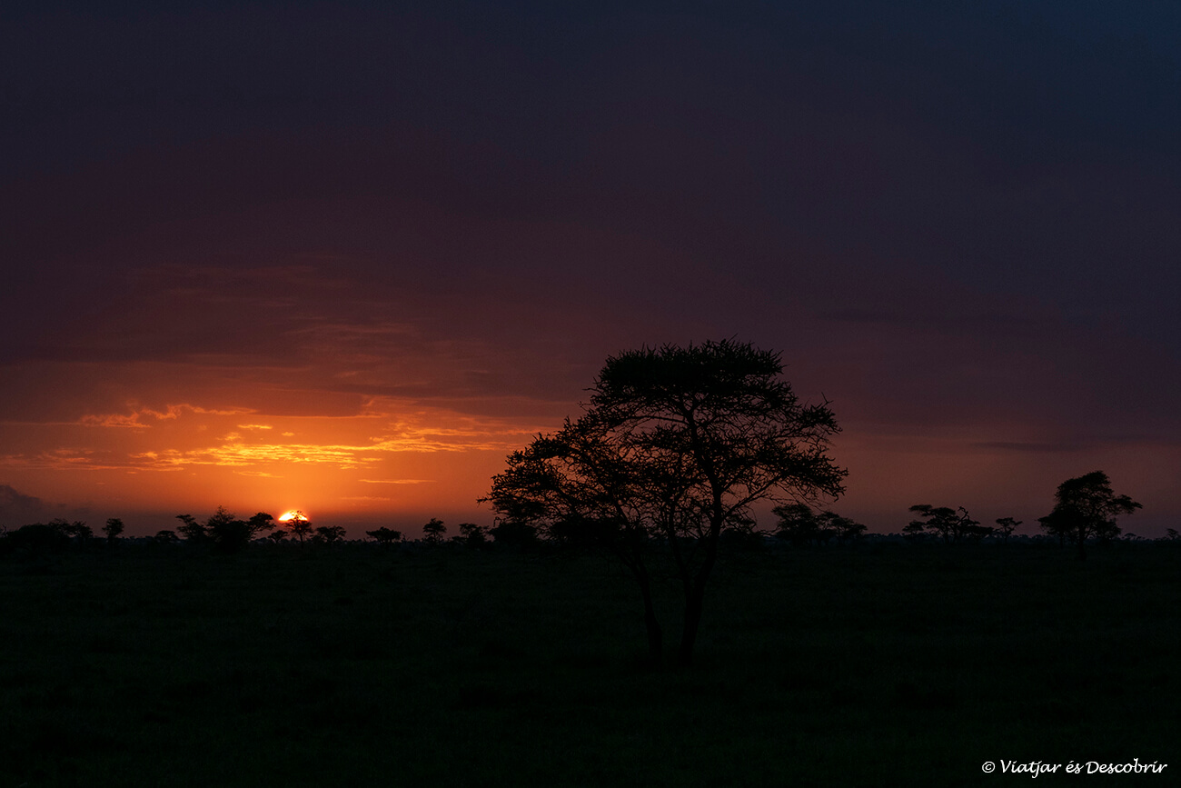puesta de sol en el serengeti