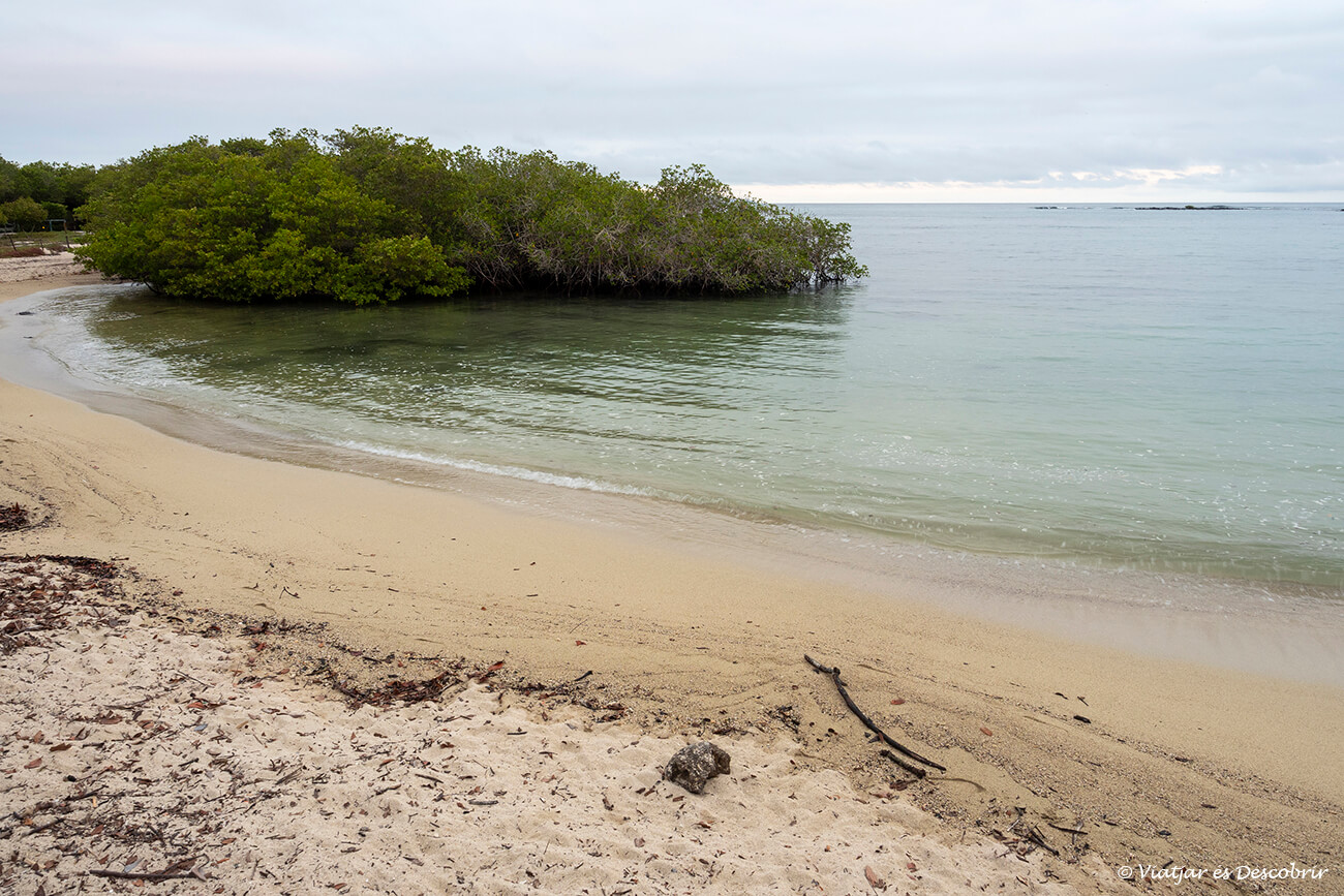 la playa de los alemanes es una actividad interesante para realizar en Santa Cruz si se tiene algún rato libre