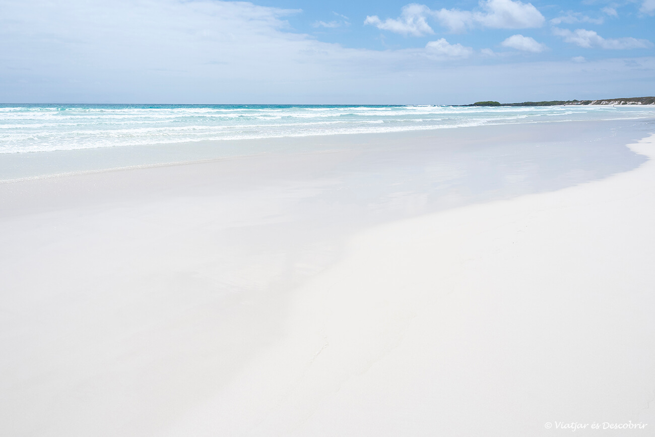un imprescindible que hacer en la isla Santa Cruz es visita Tortuga Bay y andar por sus playas