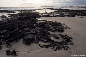 Lee más sobre el artículo Qué ver y hacer en Isla Isabela (Galápagos): 11 Propuestas