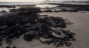 Qué ver y hacer en Isla Isabela (Galápagos): 11 Propuestas