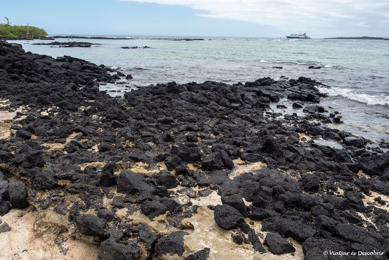 playa volcánica en la isla santa cruz