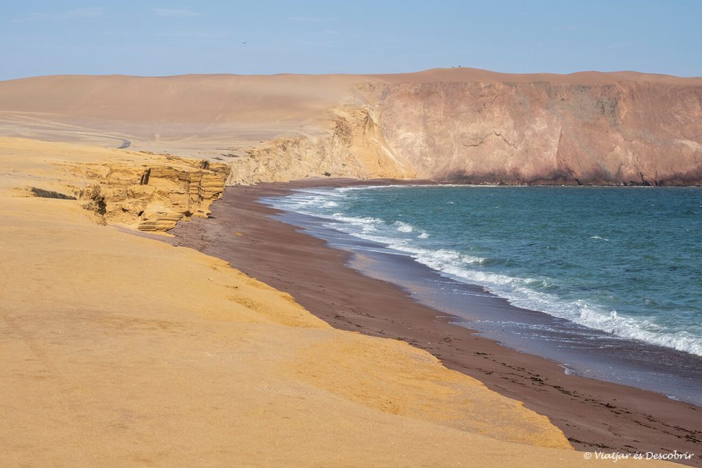 Reserva Nacional de Paracas por libre: Cómo visitarla - Viajar es Descubrir
