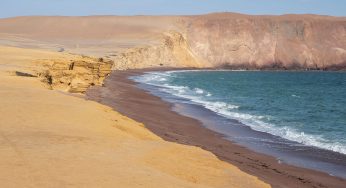 Reserva Nacional de Paracas por libre: Cómo visitarla