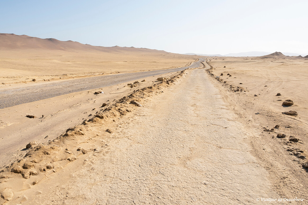 carril bici por la reserva de Paracas