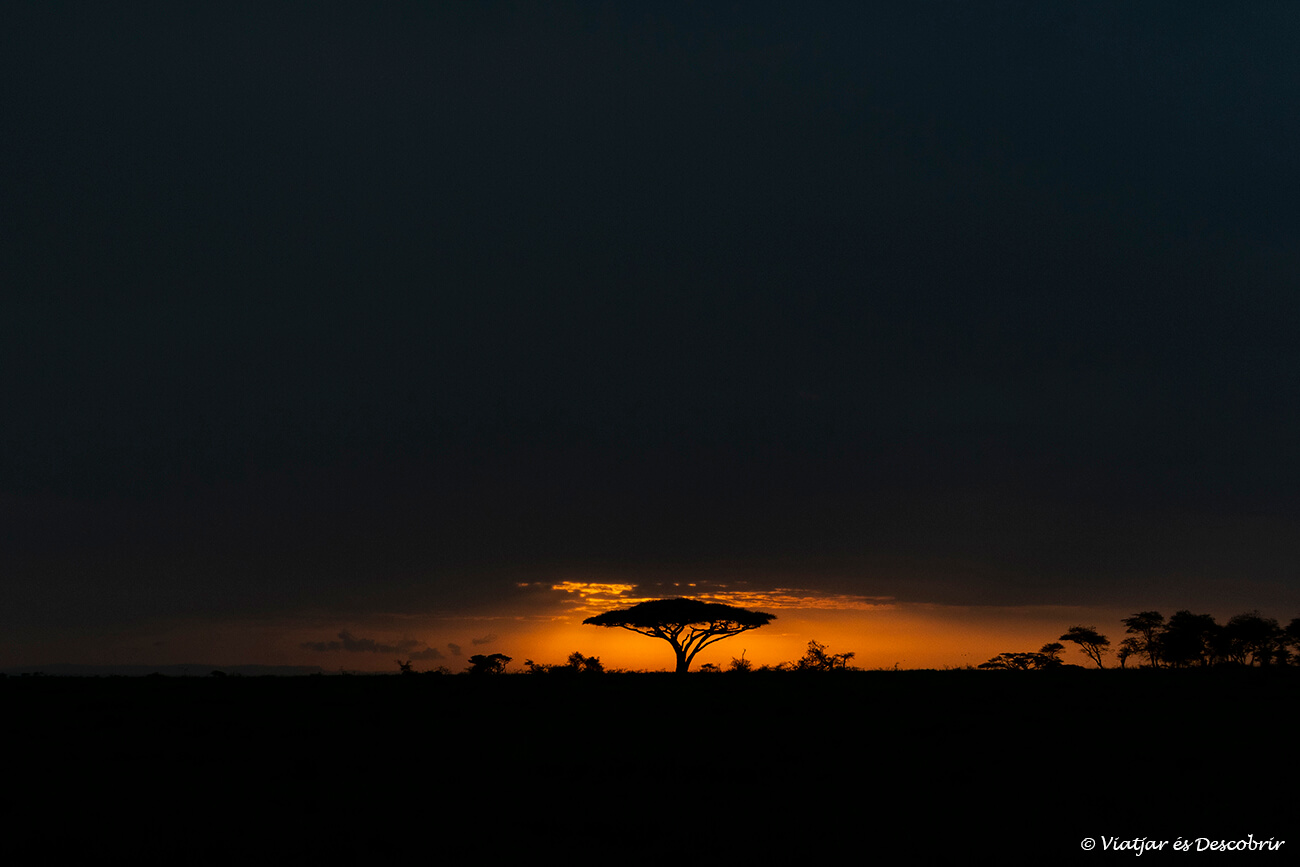 salida de sol en el parque nacional Serengeti uno de los parques nacionales que ver en Tanzania