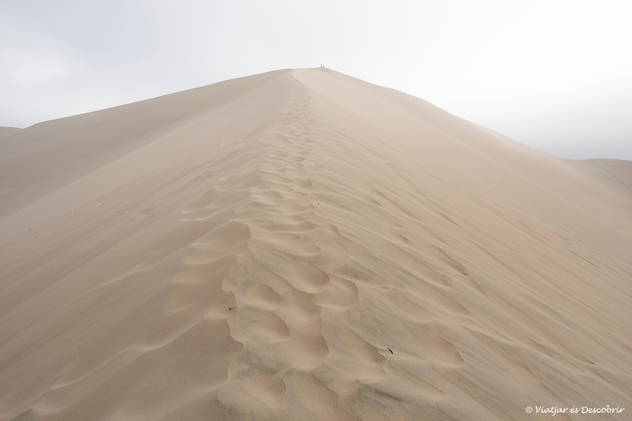 niebla en el desierto durante la mañana después de una noche en un alojamiento de allí