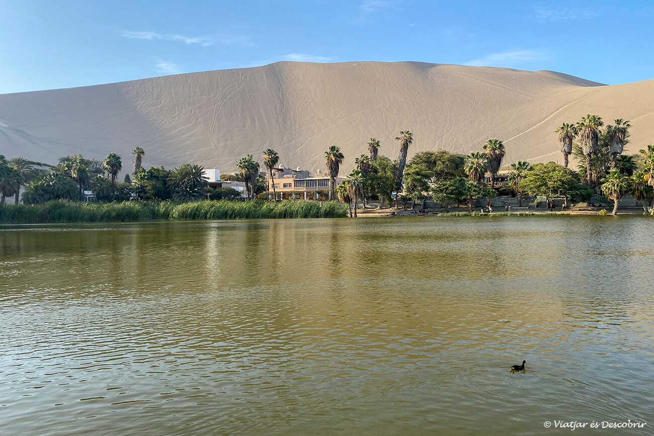 pasear por el oasis de Huacachina es agradable y no parece estar en Perú