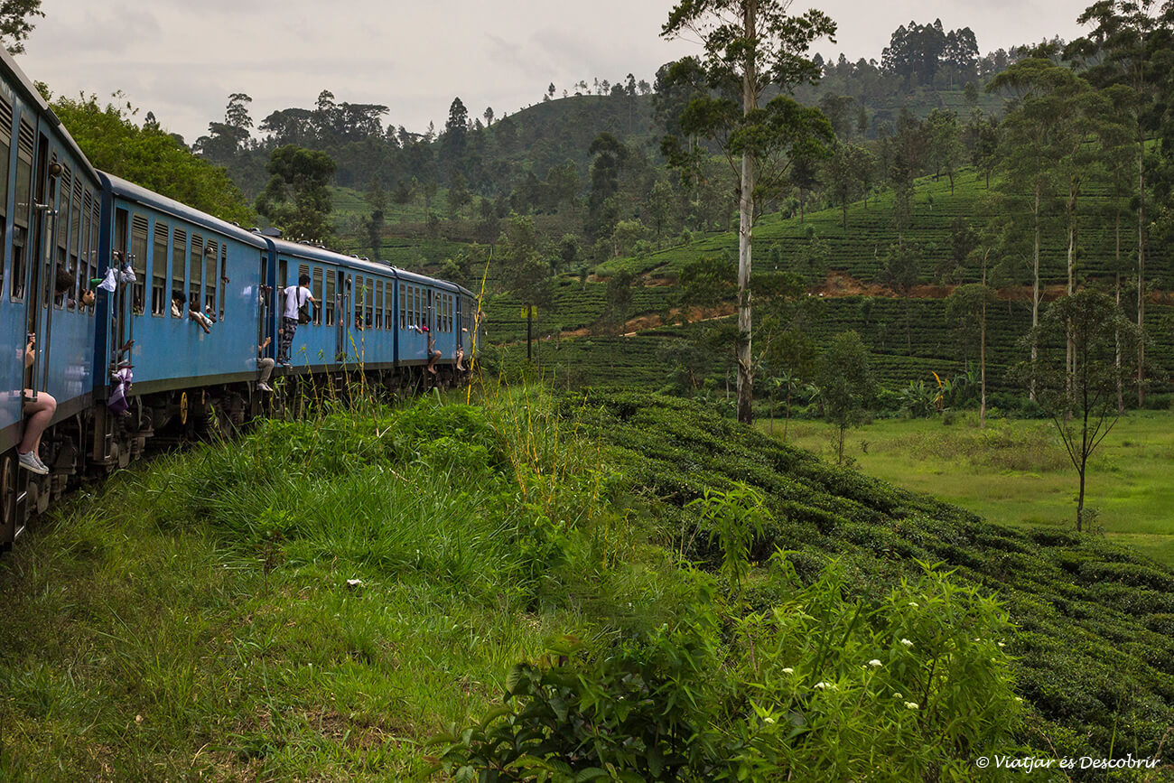 trayecto en tren para llegar a Nuwara Eliya desde la ciudad de Kandy