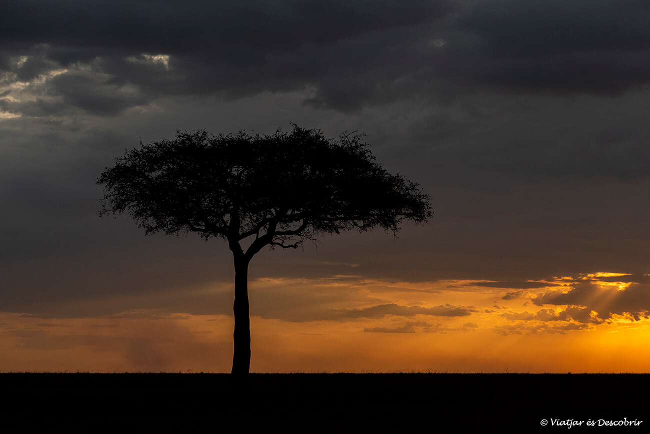 estos consejos para viajar a Kenia te permitirán marcharte del país y acabar el viaje con una gran sonrisa