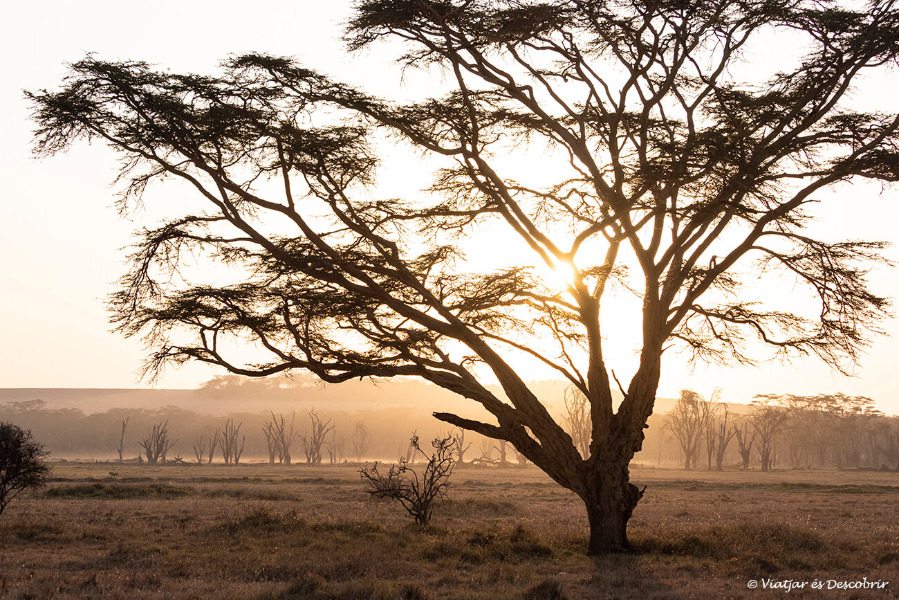 paisaje del lago nakuru durante un safari en Kenia