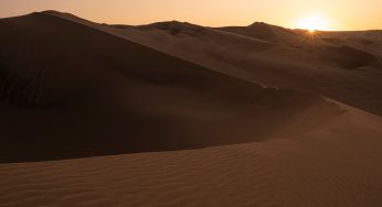 El oasis de Huacachina desde Lima: guía completa