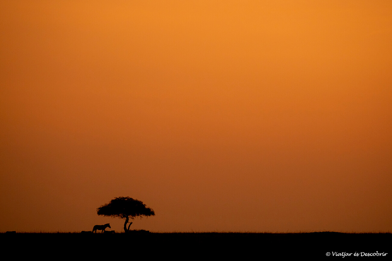 la salida y puesta de sol es uno de los grandes momentos del safari así que otro consejo para viajar a Kenia es aprovechar estos primeros y últimos momentos de luz del día