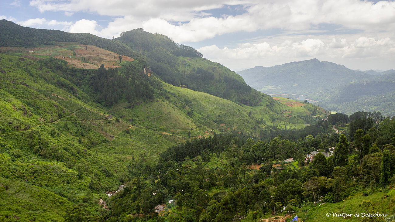Qué ver en Nuwara Eliya: paisaje verde y lleno de colinas típicas de esta zona de las tierras altas de sri lanka