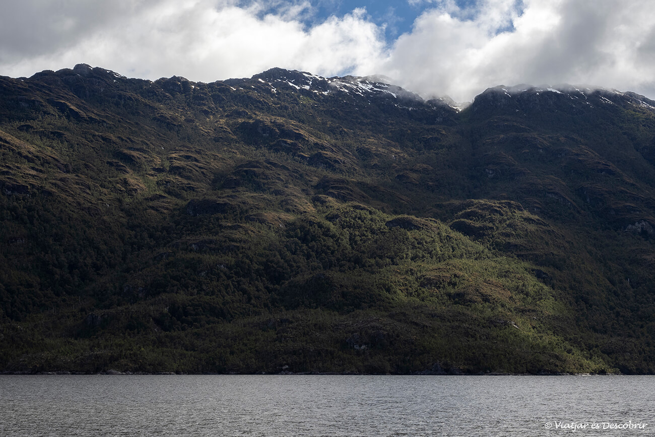 detalle de los paisajes de los fiordos chilenos en los que el bosque llega hasta el mar