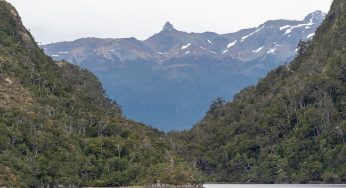 Barcazas de la Carretera Austral: cuáles son y cómo reservarlas