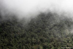 Lee más sobre el artículo Semana 75 (Quinuituq): Llegar al Machu Picchu