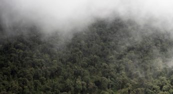 Semana 75 (Quinuituq): Llegar al Machu Picchu