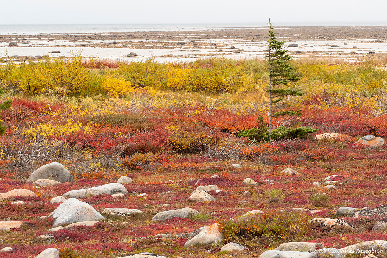 paisaje de otoño junto a la bahía de Hudson