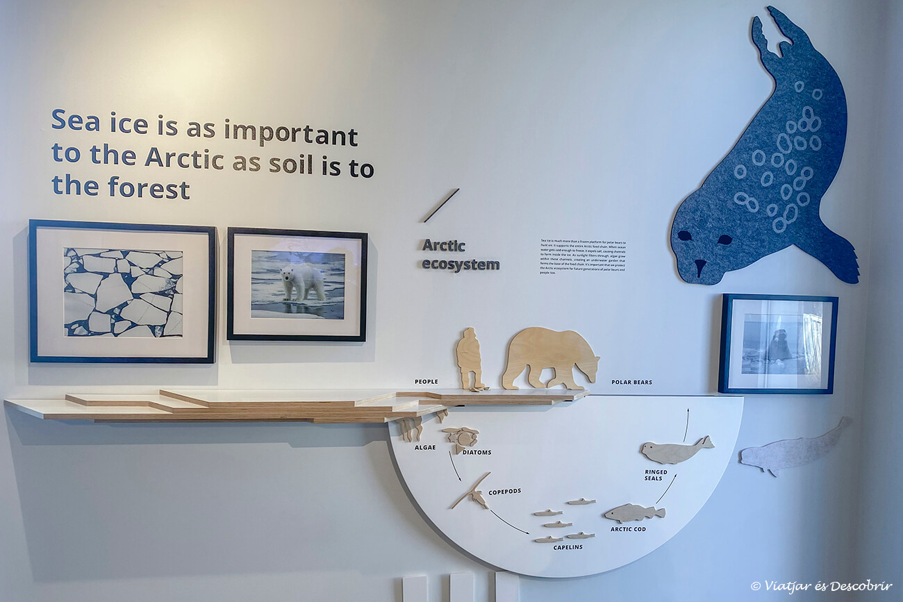 parte de la exposición de la Polar Bears International House
