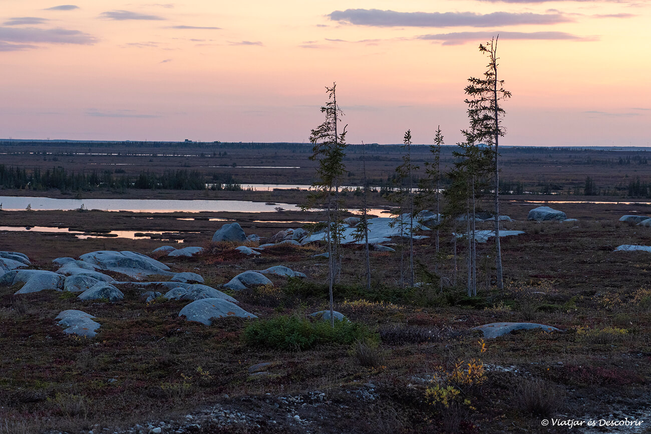 paisaje de la tundra durante la puesta de sol en un momento precioso al viajar a Churchill