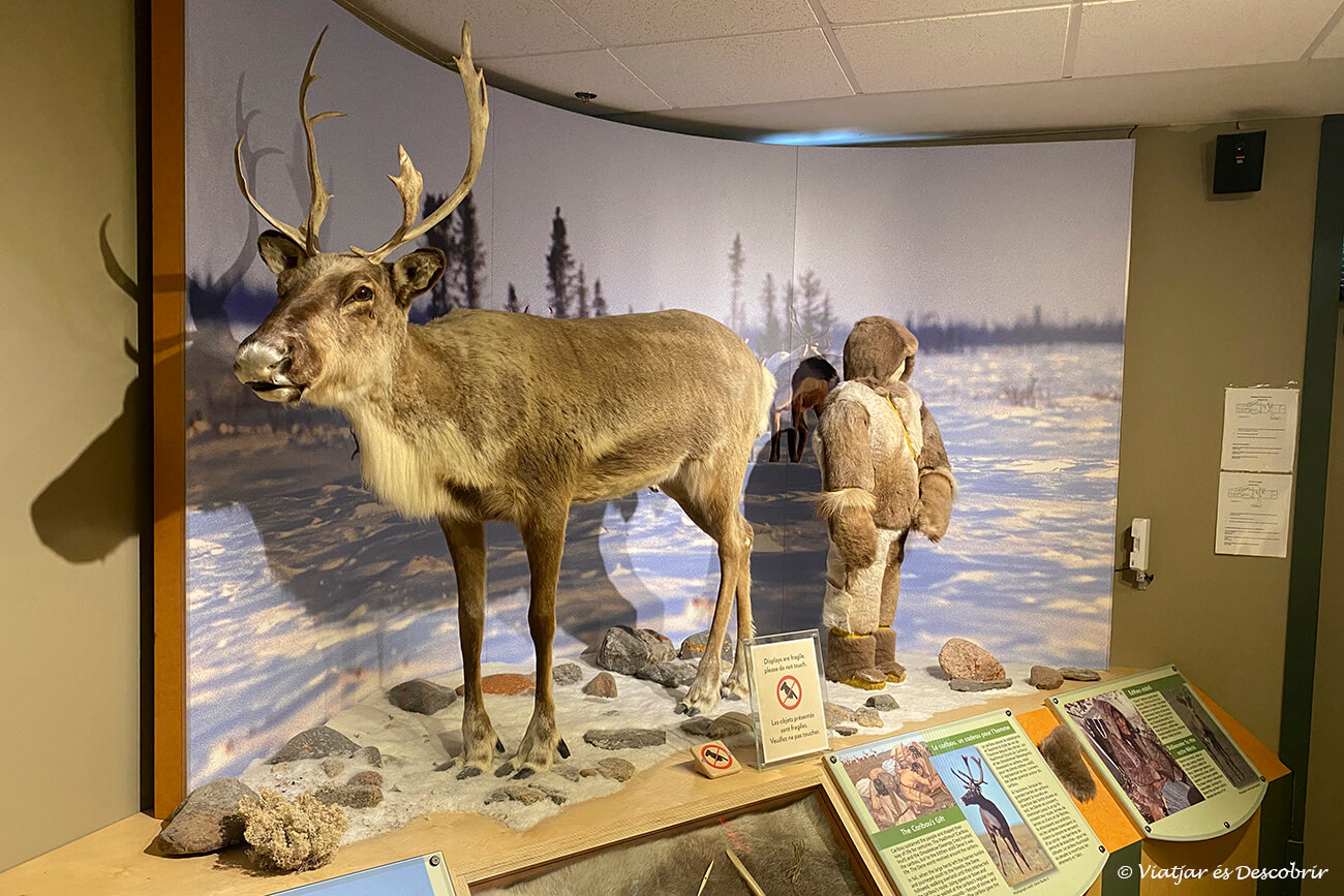 interior del centro de visitantes del pueblo de Churchill un lugar interesante para visitar al viajar a este pueblo