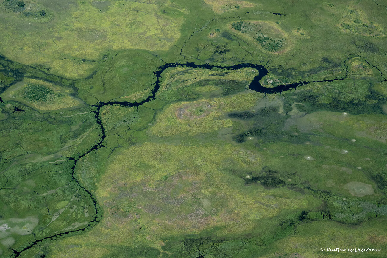vista desde el aire del Delta del Okavango durante la green season que es cuando los precios de un safari a Botswana son más bajos