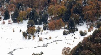 Visitar el Parque Nacional Conguillío en otoño