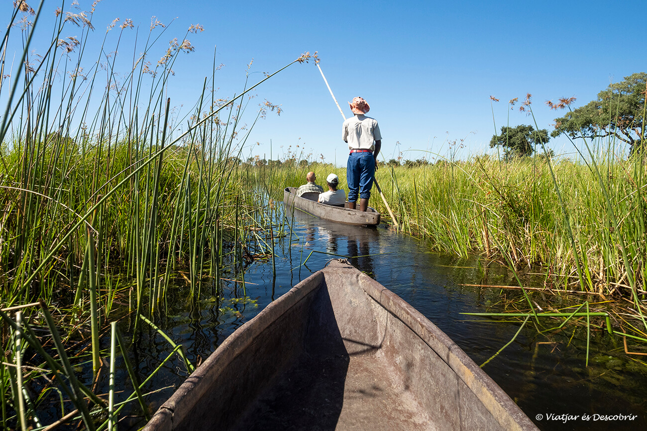 una actividad que siempre hay que tener en cuenta al pensar cuánto cuesta un safari a Botswana son los recorridos con mokoro por los canales del Delta del Okavango