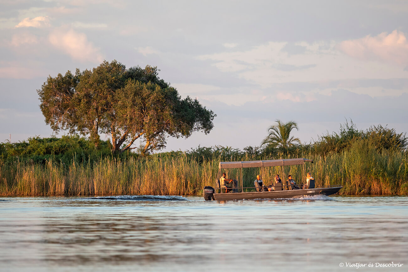 pequeña barca recorriendo el río Chobe en busca de elefantes