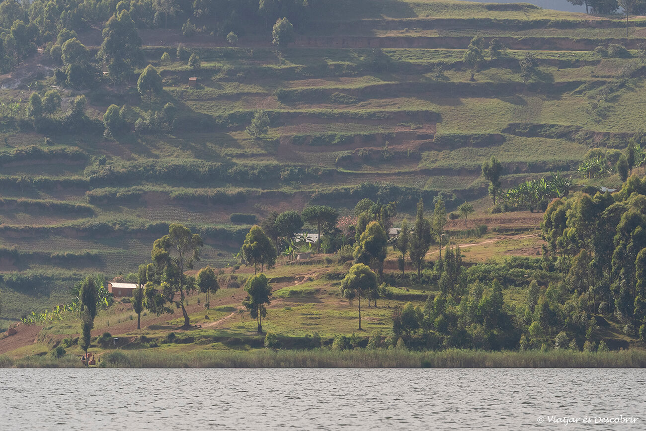 paisaje que acompaña las propuestas que hacer en el lago Bunyonyi