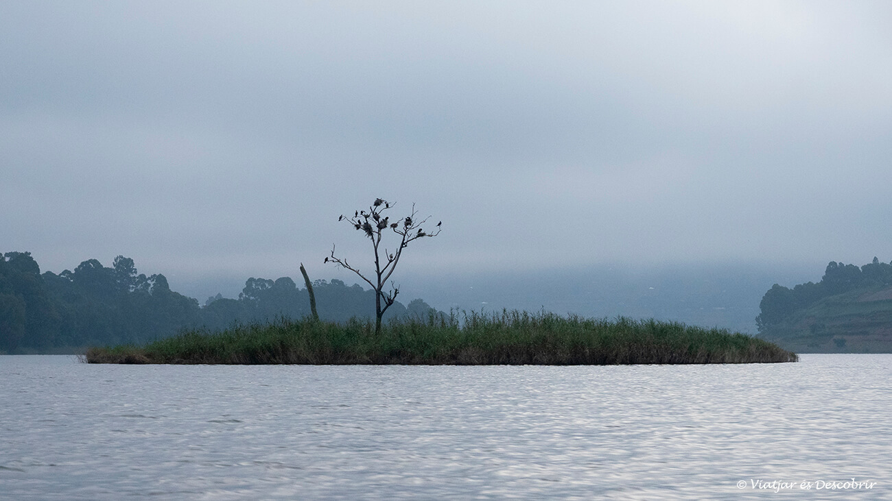 nieblas por el lago Bunyonyi durante la mañana debido a la vegetación y humedad de la zona