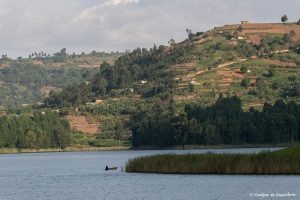 Lee más sobre el artículo Qué hacer en el lago Bunyonyi: El final perfecto para una ruta por Uganda