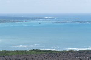 Lee más sobre el artículo Concha Perla, donde hacer snorkel por libre en las Galápagos