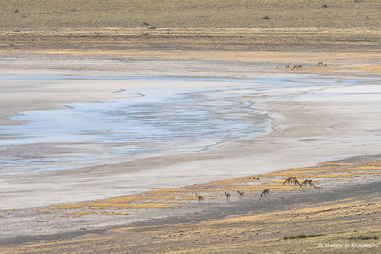 detalles de una laguna medio seca en el Parque Nacional Pali Aike