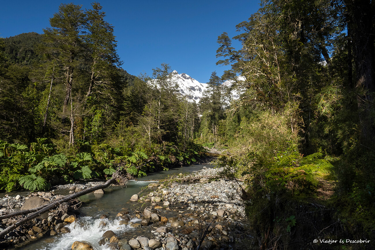 camino para llegar al Ventisquero Yelcho durante la carretera austral y que es un imprescindible que ver en la Patagonia chilena