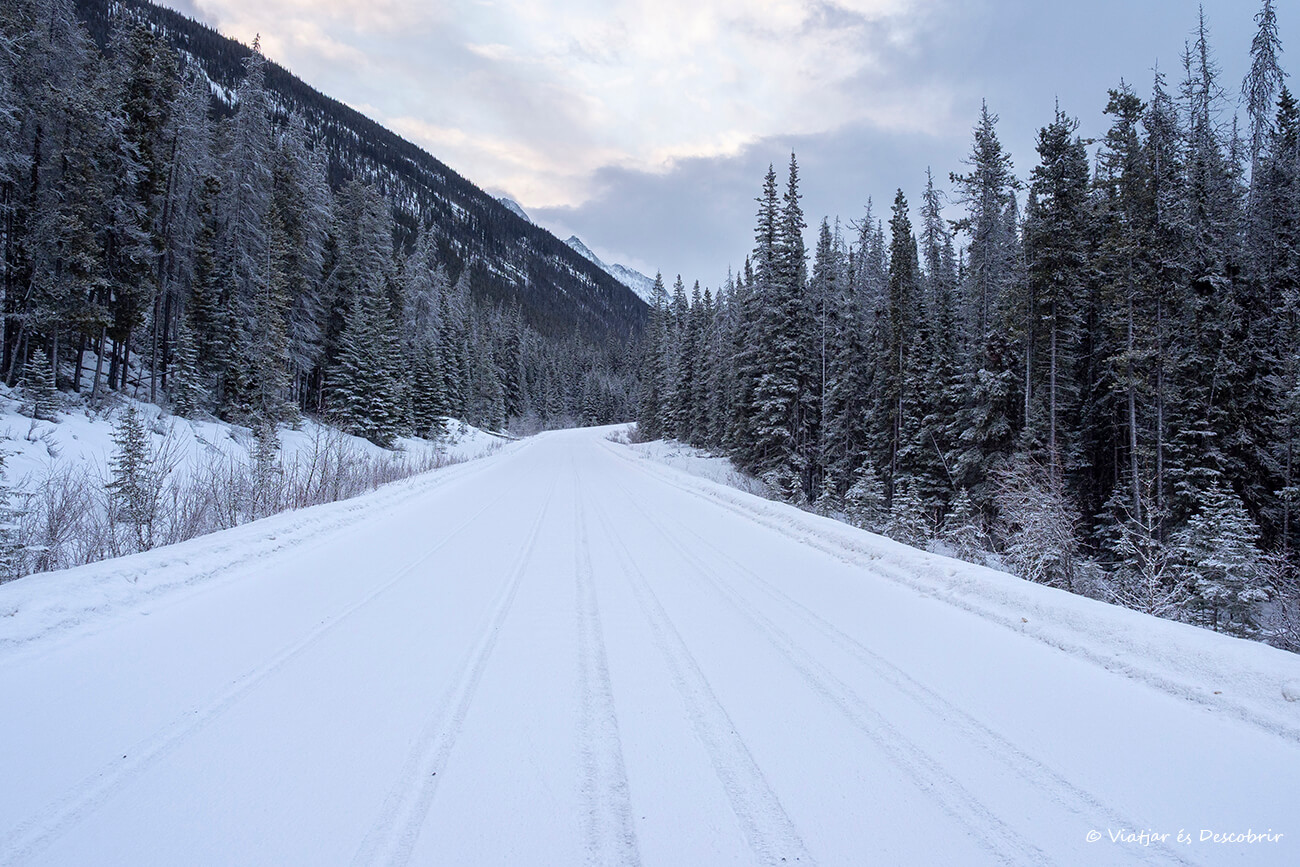 carretera hasta el lago Maligne nevada en el Parque Nacional Jasper