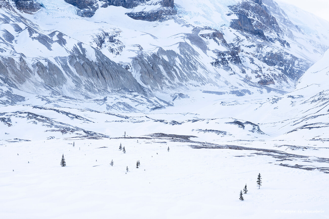 detalles del paisaje nevado en el Columbia Icefield de la Icefield Parkway