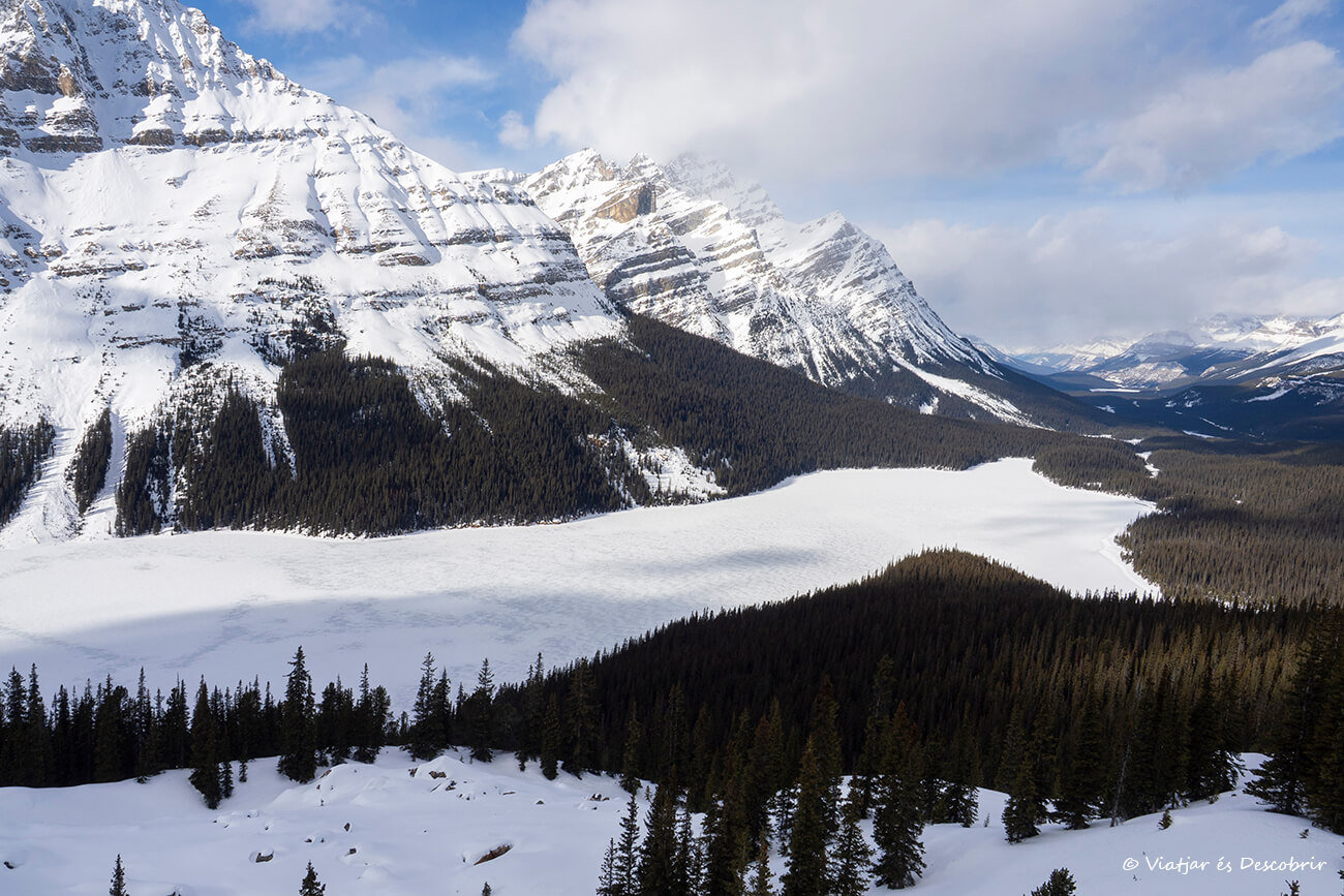 Peyto Lake nevado