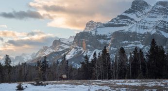 Viajar a Canadá en invierno: Guía, ruta y mi experiencia