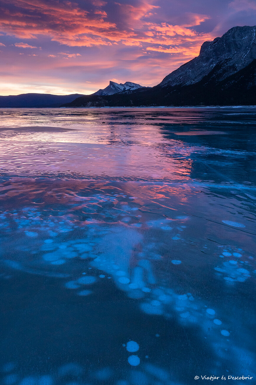 burbujas congeladas en el Abraham Lake
