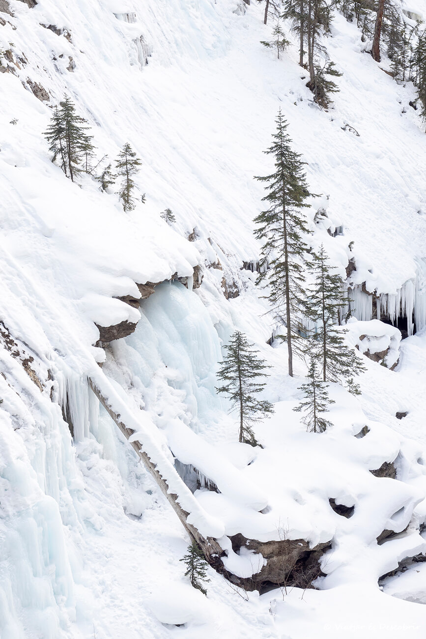 detalles del paisaje nevado y congelado en el Jhonston Canyon